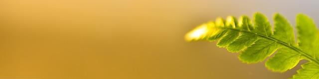 affiliation Systeme.io gratuit et illimité tuto en un week-end